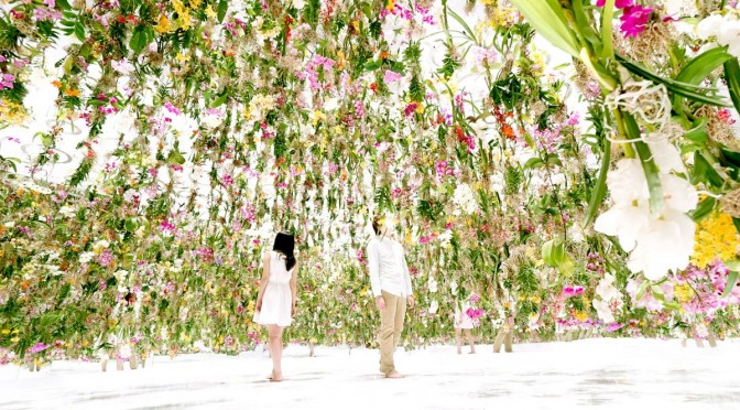 Photo tirée de la vidéo présentant l'installation Floating Flower Garden ("Jardin de Fleurs Flottantes") de TeamLab.