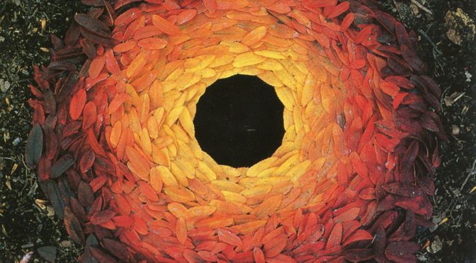 Andy Goldsworthy, l'automne et le Land Art